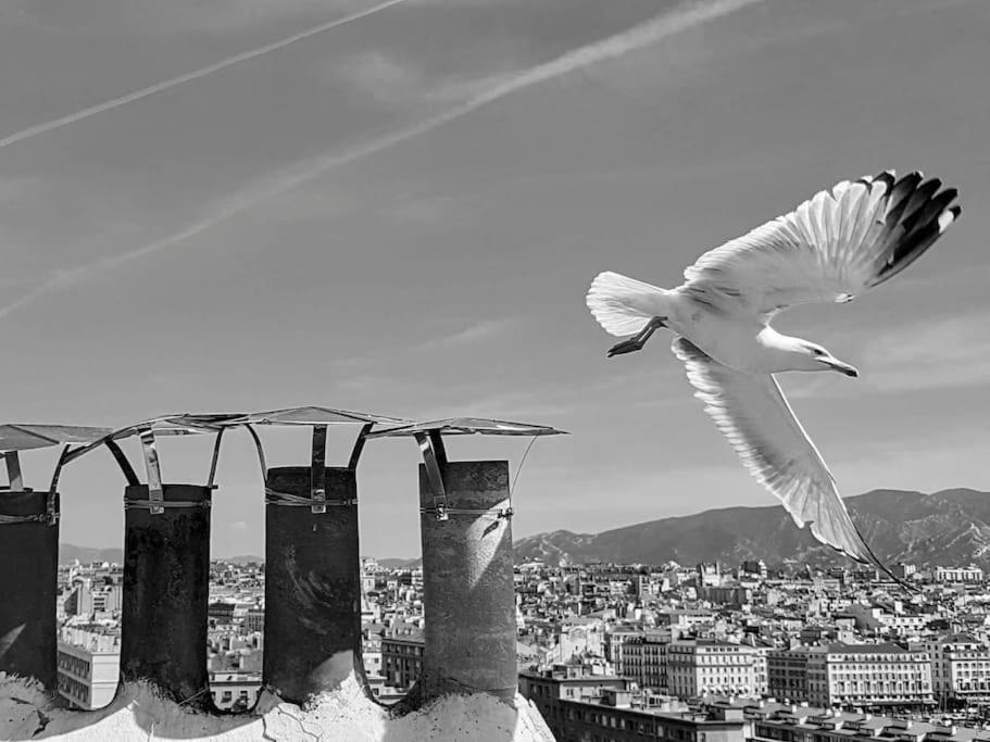 Superbe Appart, Central, Petit Balcon & Vue Place Marseille Ngoại thất bức ảnh